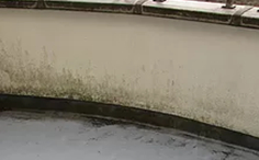 外壁塗装　屋根塗装　塗装専門店　スターペイント　外壁無料診断　劣化状況　カビ・コケ　福岡