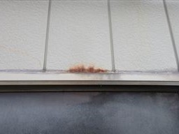 福岡　外壁塗装　屋根塗装　雨漏り　防水工事　スターペイント　専門店　ショールーム