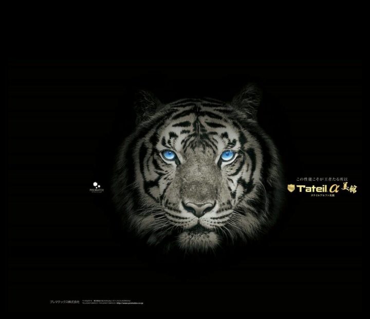 タテイルα 美観　　　福岡県　福岡市の外壁塗装・屋根塗装専門店　スターペイント　20181116