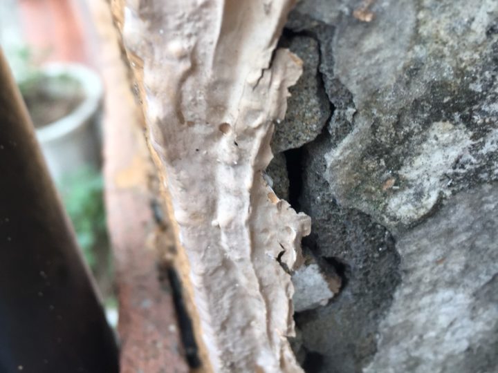 お家の状態を知る②　|外壁塗装/屋根塗装/雨漏り専門店　福岡市　スターペイント　20190126