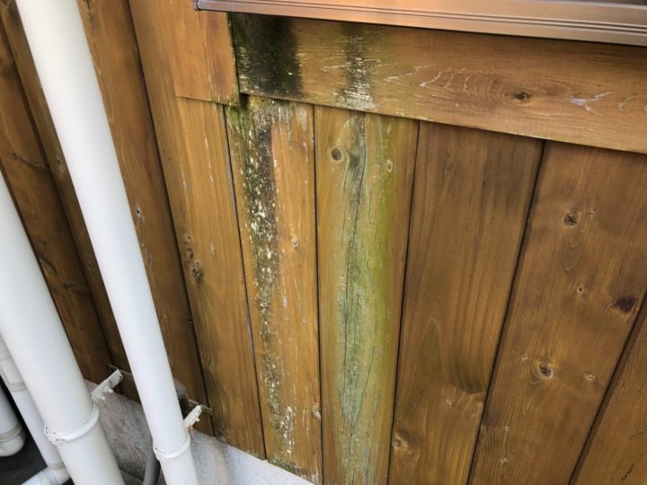 日なたと日陰で症状は違う？②|外壁塗装/屋根塗装/雨漏り専門店　福岡市　スターペイント　20190427