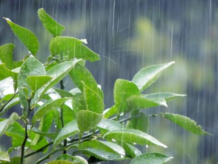 雨漏り発見！どんな工事をすれば良いの！？　福岡　外壁塗装　屋根塗装　防水工事　専門店　スターペイント　20190826