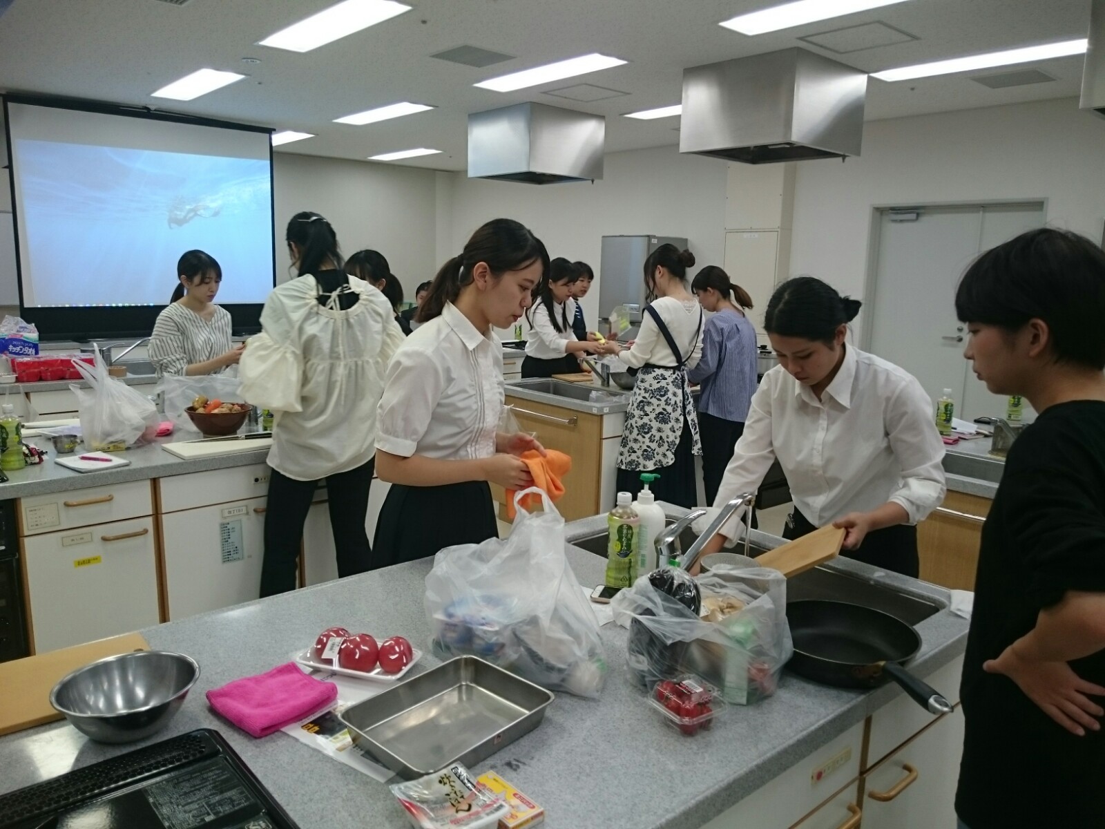 カレーインターンシップ　福岡　外壁塗装　屋根塗装　防水工事　スターペイント　20191215