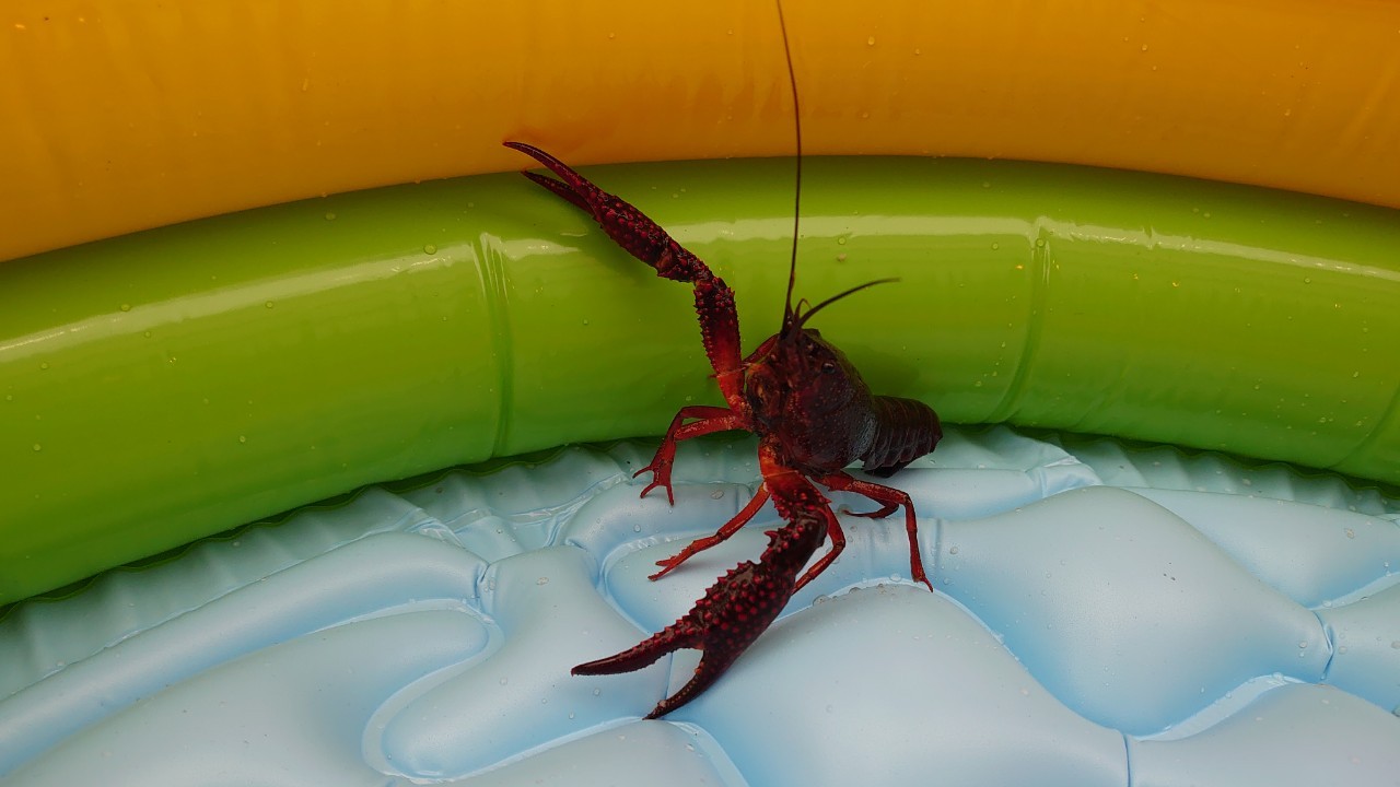 夏を感じろ！『夏×塗るフェス』　イベント2日目　福岡　外壁塗装　屋根塗装　防水工事　専門店　スターペイント　20200719