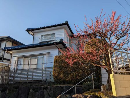 松山市　匿名様邸　外壁塗装　2023/3/3