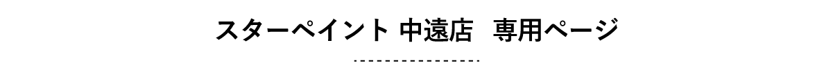 スターペイント中遠店　専用ページ