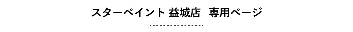 スターペイント益城店　専用ページ