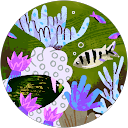 key 929 profile picture