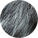 おゆり profile picture