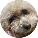 Co Mo profile picture