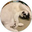 ろくすう profile picture