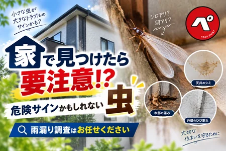 家で見つけたら要注意？住宅の劣化サインかもしれない虫とチェックポイント
