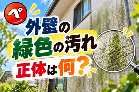 外壁の緑色の汚れは何？苔・藻が発生する原因と落とし方、放置するリスクを解説！